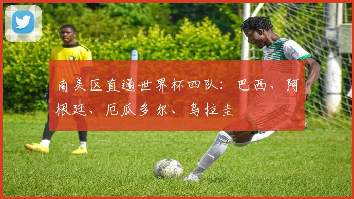 南美区直通世界杯四队：巴西、阿根廷、厄瓜多尔、乌拉圭