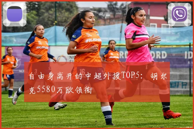 自由身离开的中超外援TOP5：胡尔克5580万欧领衔