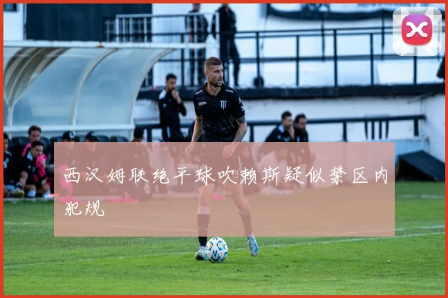 西汉姆联绝平球吹赖斯疑似禁区内犯规