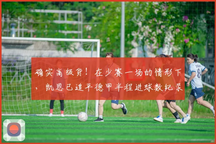 确实高级货！在少赛一场的情形下，凯恩已追平德甲半程进球数纪录